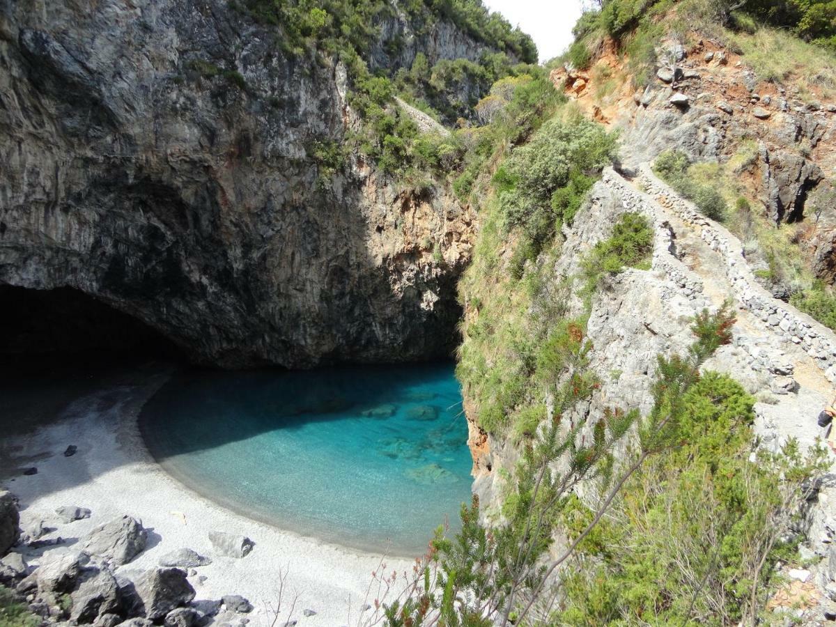 Villaggio Turistico La Mantinera - Appartamenti De Luxe 普拉亚·阿马勒 外观 照片